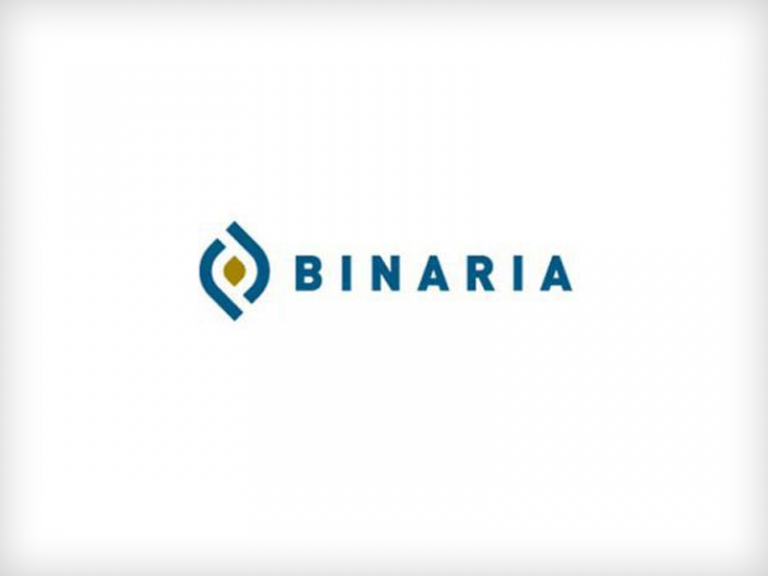 Binaria seguros